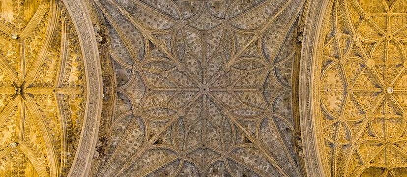 Peregrinación a la Catedral